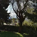 Ibis 3*